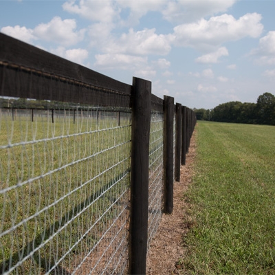 How Fencing Wire Manufacturers Are Shaping Modern Security