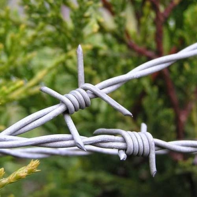 Barbed Wire Fence in United Kingdom