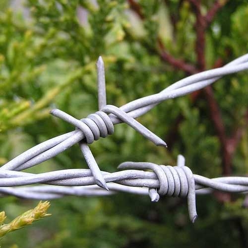 Barbed Wire Fence in Arunachal Pradesh