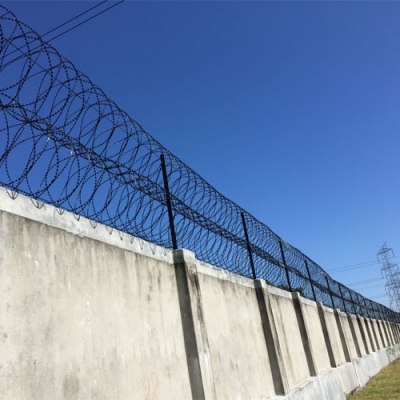 Concertina Coil Fencing in Israel