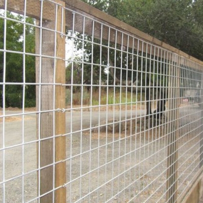 GI Wire Mesh in United States