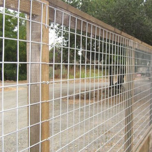 GI Wire Mesh in India