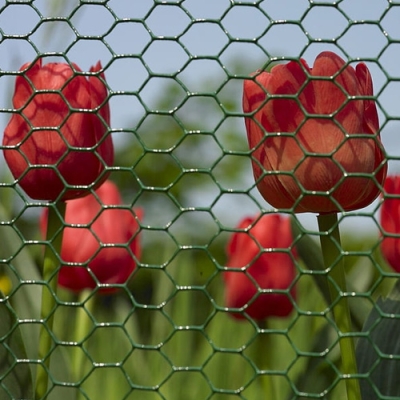 Hexanet Fencing in United Kingdom