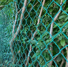 PVC Coated Chain Link Fencing Manufacturers in Qatar