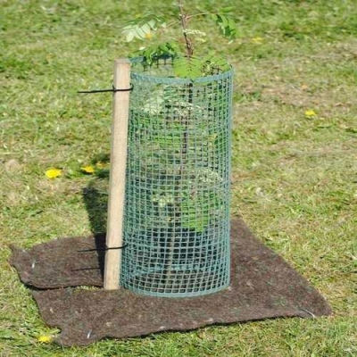 Tree Guard Net in United Kingdom