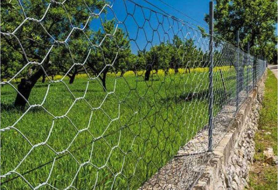 Top 5 Best Weld Mesh Fences Manufacturer in Siliguri